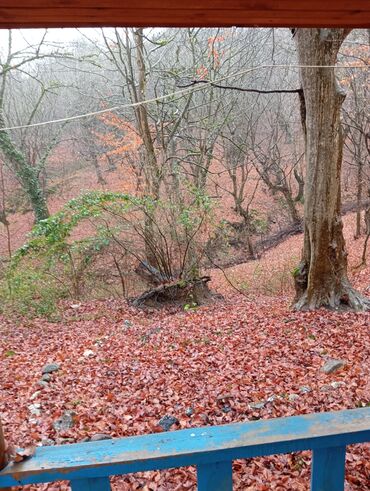 Restoran, kafelər: Masalli İsti su yaxin. 3 hektar ərazi 7 katej 6 bisetka. Tam islek -da lalafo.az — 22 Restoran, kafelər: Masalli İsti su yaxin. 3 hektar ərazi 7 katej 6 bisetka. Tam islek — 22