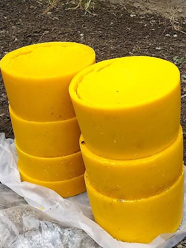 Мёд: МУЖСКАЯ СИЛА ЭТО. Пчелиное маточное молочко в натуральных условиях,в — 13