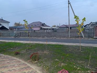 Продажа участков: 8 соток, Для строительства, Красная книга, Тех паспорт, Договор купли-продажи — 7