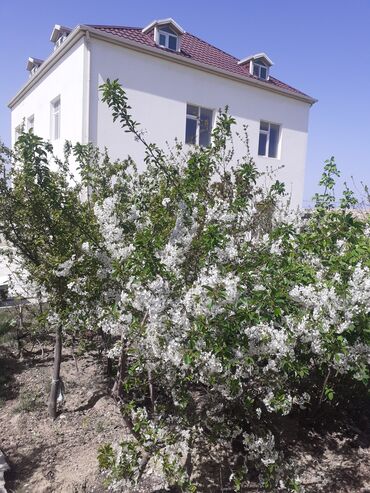 Kirayə mənzillər: Savalan, 9 otaq, Yeni tikili, 7 kv. m