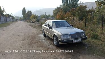 Mercedes-Benz: Mercedes-Benz 250: 1992 г., 2.5 л, Механика, Дизель, Седан