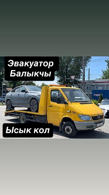 без дтп: С лебедкой — 1