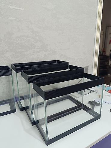 afcarka qara: Akvaryum şüşə akvariumlar – 3 fərqli ölçüdə - 44×18×29 sm – 22,5 litr — 7