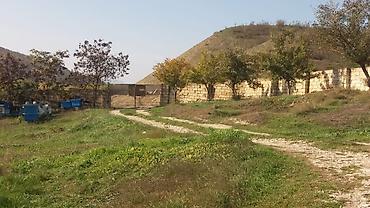 goranboy torpaq: 580 sot, Kənd təsərrüfatı, Makler, Kupça (Çıxarış) — 3