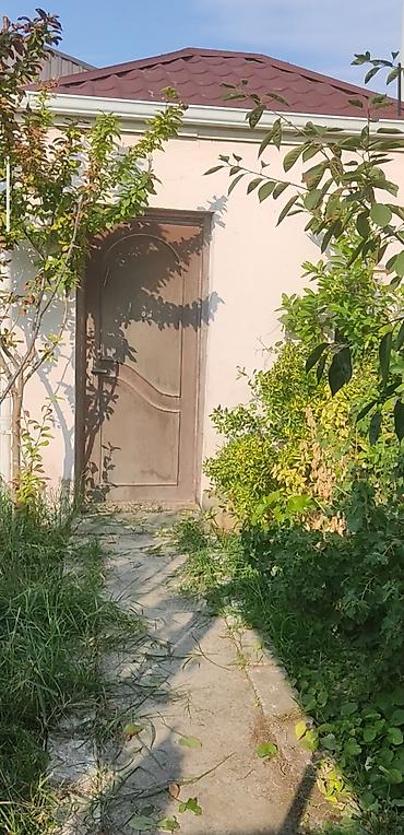 balaxanida evler: Tikinti, Kupça (Çıxarış) — 5