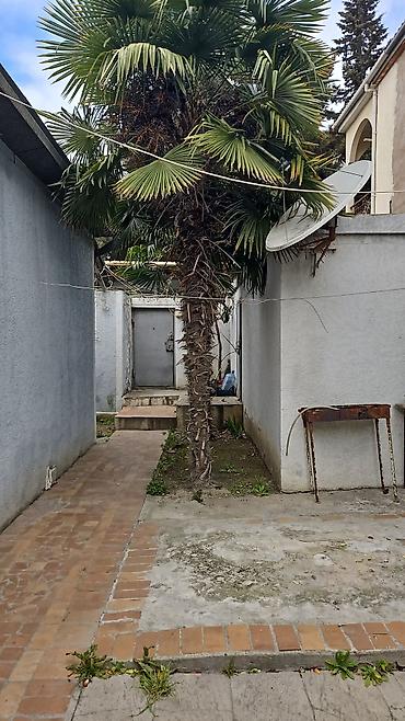 Həyət evləri və villalar: 170 kv. m, 5 otaqlı — 9