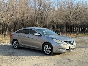 Hyundai: Hyundai Sonata: 2009 г., 2 л, Автомат, Бензин, Седан