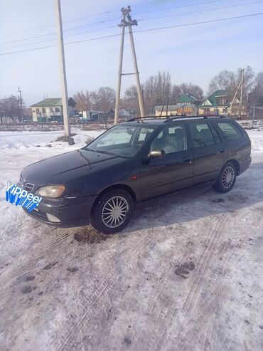 нисан кашкай: Nissan Primera: 2002 г., 1.8 л, Механика, Бензин, Универсал