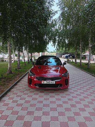 go park: Kia Stinger: 2018 г., 0.2 л, Автомат, Бензин, Лифтбек — 1