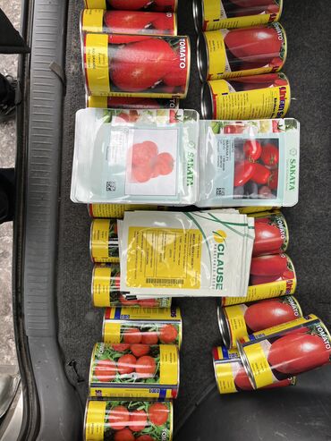семена томат: Семена и саженцы Помидоров, Огурцов, Моркови, Бесплатная доставка, Платная доставка