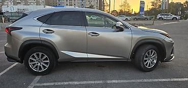 Lexus: Lexus NX: 2019 г., 2 л, Автомат, Бензин, Кроссовер — 8