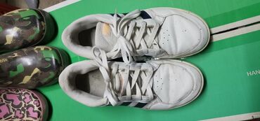 Patike i sportska obuća: Adidas patike 39