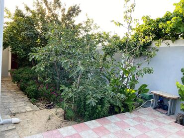 Həyət evləri və villaların satışı: 3 otaqlı, 100 kv. m, Yeni təmirli — 17