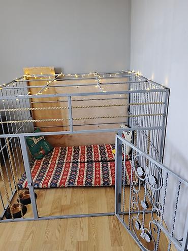 it ucun qefes: Metaldan geniş ev tipi it qəfəsi / playpen - Material: qalın metal — 1