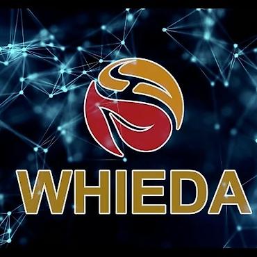 life network system: Ищем активных и целеустремлённых людей в команду! Возможность — 1