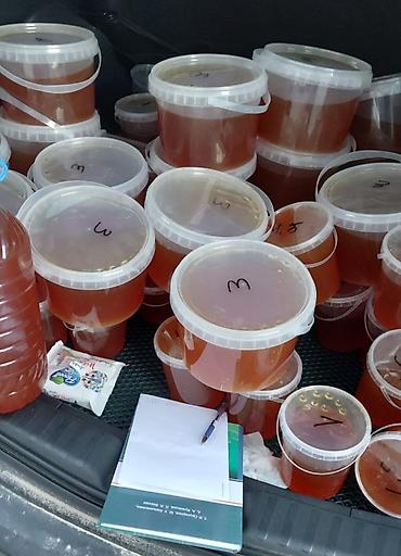 Горный мёд — 100% чистый, натуральный продукт. Особенности: - Собран — 2