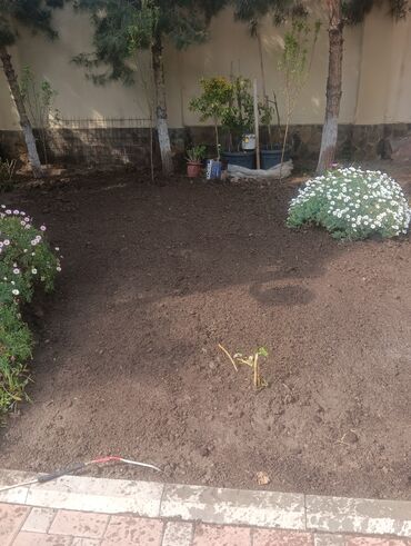 Şitillər: Qazon landşaft #qazon #torf #torf250litrlik Ekolayf #ekolayf balaken — 17