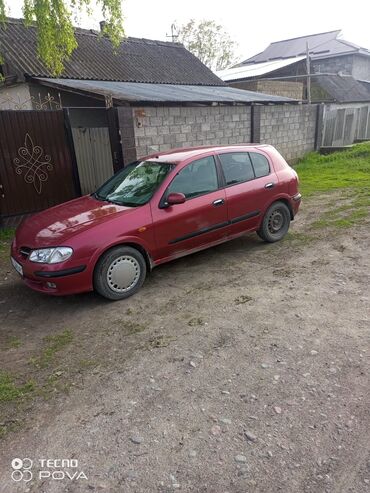 Nissan: Nissan Almera: 2002 г., 1.8 л, Автомат, Бензин, Хэтчбэк