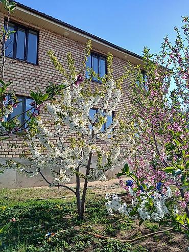 Продажа коттеджей и домов: Г Чолпоната рн иподром продаётся 🏠 2 этажный кирпичный дом 220кв — 2