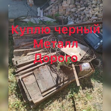 купить поросят в бишкеке in Кыргызстан | СВИНЬИ: Куплю чёрный металл