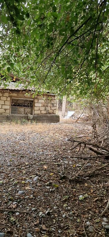 Torpaq sahələrinin satışı: 85 sot, Kənd təsərrüfatı, Mülkiyyətçi, Kupça (Çıxarış) — 17