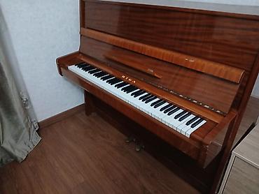 Musiqi alətləri: Piano, Akustik, İşlənmiş — 2