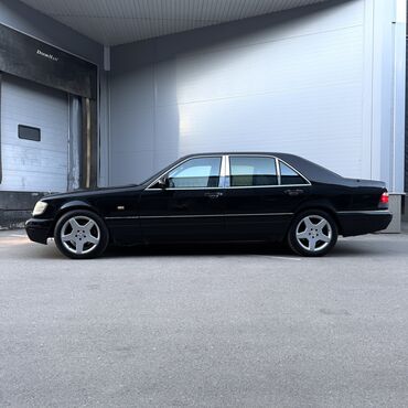 Mercedes-Benz: Mercedes-Benz S-Class: 1995 г., 5 л, Автомат, Газ, Седан