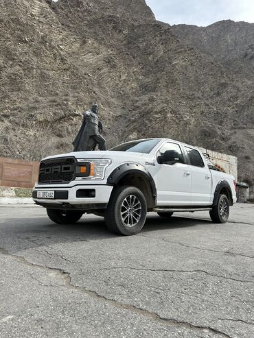 шины сапог: Ford F-150: 2019 г., 3.5 л, Автомат, Бензин, Пикап