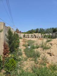 Torpaq sahələrinin satışı: 8 sot, Mülkiyyətçi, Kupça (Çıxarış) -da lalafo.az — 13 Torpaq sahələrinin satışı: 8 sot, Mülkiyyətçi, Kupça (Çıxarış) — 13