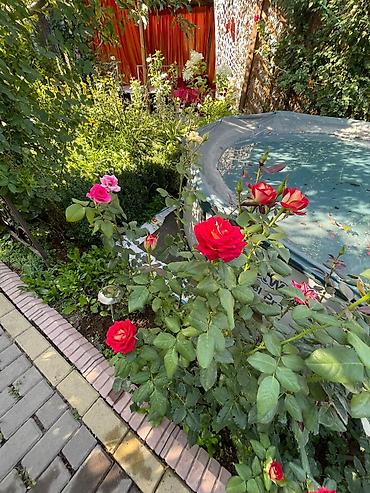 Продажа коттеджей и домов: 🏡 Продается уютная двухэтажная дача в Воронцовке! 📍 Локация — 13