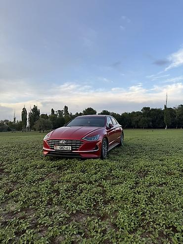 sonata: Hyundai Sonata: 2019 г., 2 л, Автомат, Гибрид, Седан — 3