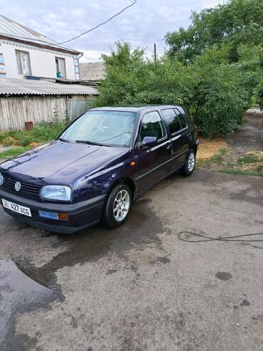 суточные гостиницы в таласе: Volkswagen Golf: 1995 г., 1.6 л, Механика, Бензин, Хэтчбэк