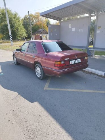 Mercedes-Benz: Mercedes-Benz W124: 1992 г., 2.6 л, Автомат, Бензин, Седан