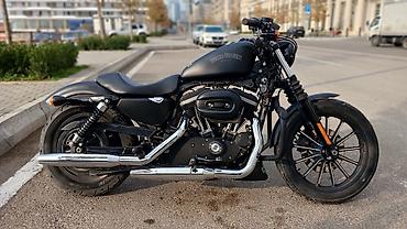 harley davidson: Harley Davidson - HARLEYDAV, 880 sm3, 2014 il, 12000 km — 4
