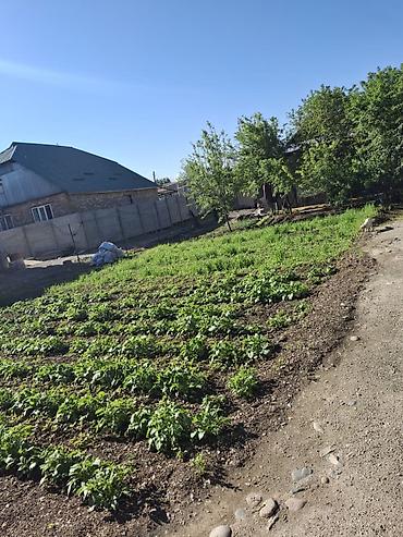 Продажа зданий: 1000 м² — 9