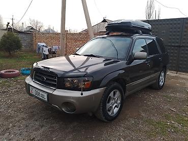 forester sg9: Subaru Forester: 2004 г., 2.5 л, Автомат, Газ, Кроссовер — 3