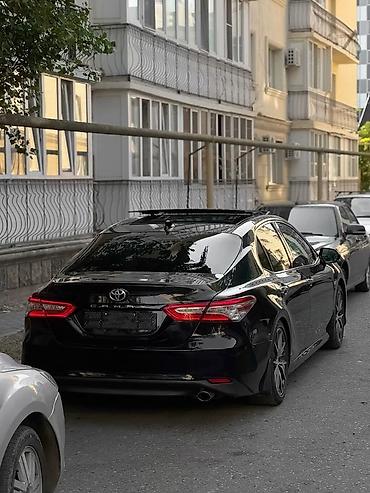 продаю или меняю на квартиру: Toyota Camry: 2019 г., Седан — 1