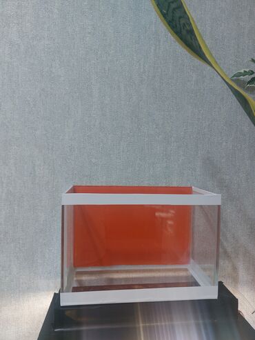 Akvariumlar: Şüşə akvarium – dekorativ fonlu modellər ölçü 30×25×15 Məhsul təsviri — 34