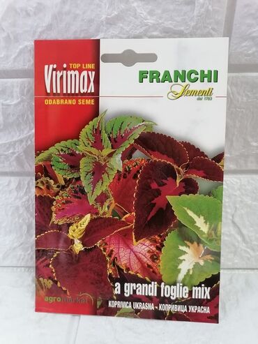 Semena i sadnice: Cena 500din/kesica — 7