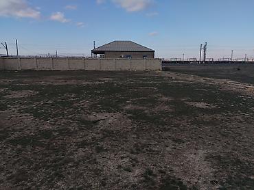 Torpaq sahələrinin satışı: Tikinti, Kupça (Çıxarış) — 7