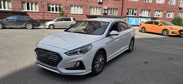 хендай соната 2019 цена бишкек: Hyundai Sonata, белый седан,год 2018,свеже пригнан,пробег 300+,не