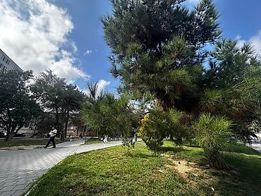 Köhnə tikili: Bakı, 2 otaqlı, Köhnə tikili, 40 kv. m — 2