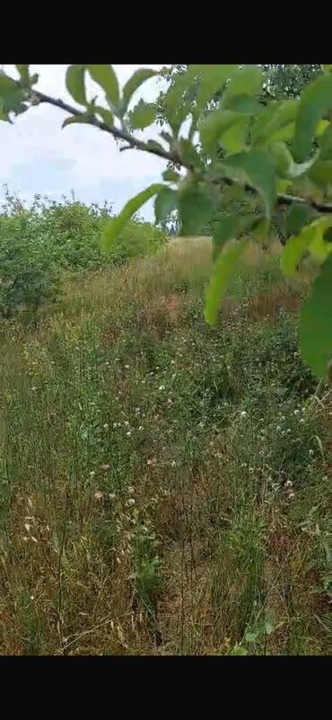 Torpaq sahələrinin satışı: 150 sot, Biznes üçün, Barter mümkündür, Kupça (Çıxarış) — 10