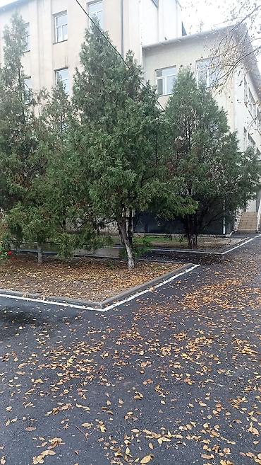 Строительство под ключ: Асфальтирование и благоустройство территорий под ключ Профессионально — 4