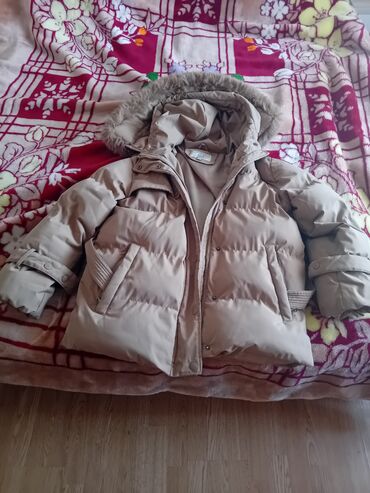 Winter jackets: M (EU 38), Single-colored, Without lining