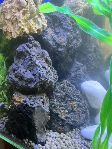 Gəmiricilər: Akvaryum üçün lava daşları dəsti - Material: təbii vulkanik lava daşı