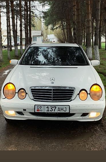 фары на опель вектра а: Mercedes-Benz E-Class: 2001 г., 2.2 л, Механика, Дизель, Седан — 2