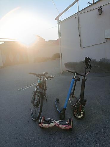 пенни борд купить: Velosiped + skuter dəsti - Şəhər və park sürüşləri üçün uyğun — 2