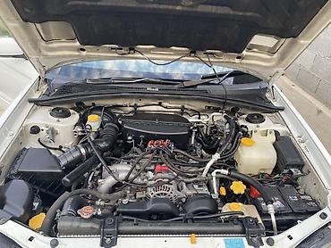 Subaru: Subaru Forester: 2004 г., Автомат, Бензин — 2