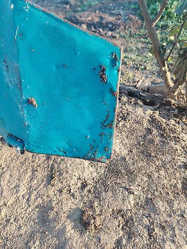 Digər kuzov detalları: Məhsul: Traktor kabini (köhnə model, mavi rəng) Təsvir: - Universal — 6